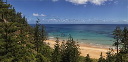 Anson Bay - Norfolk Island - NSW T (PBH4 00 12131)